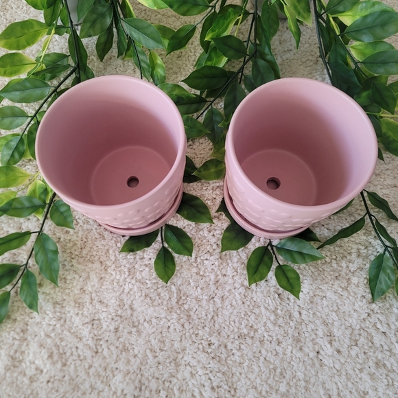 Pink Heart Flower Pots (Set Of 2) - Picture 3 of 6